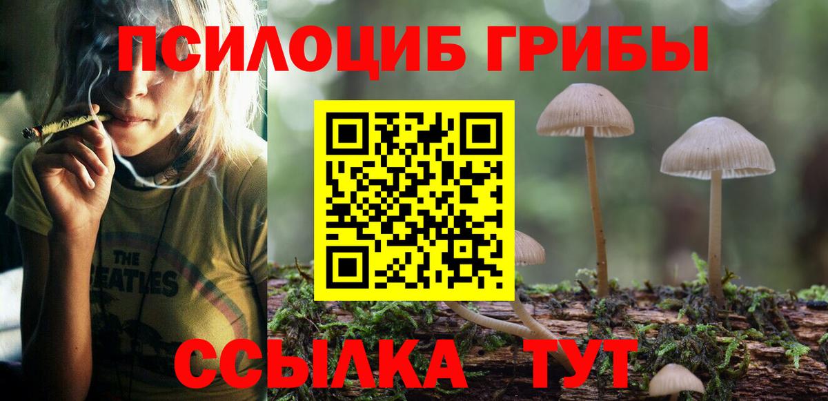 Галлюциногенные грибы MAGIC MUSHROOMS Спасск-Дальний